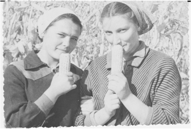 Лена Скрипко и Алла Крейтор (справа). На уборке кукурузы в колхозе им. ХХ съезда КПСС, 1956 г.